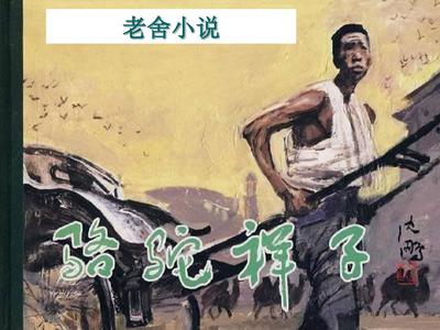2023猫咪最新域名入口